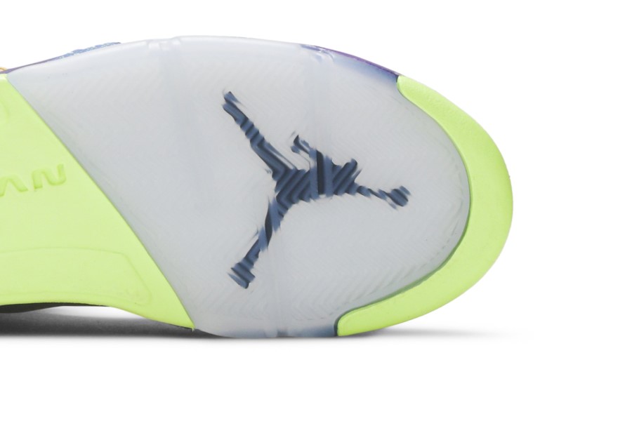 Air Jordan 5 Retro Se Ono što