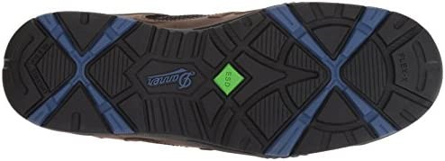 Air Jordan Danner Muške Springfield Niske 3'' Nmt Gležnjače Varira Smeđe Plava