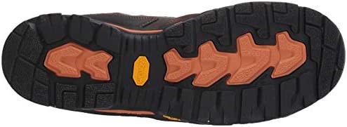 Air Jordan Danner Men Vicious 4.5 Met/nmt čizme Smeđe Narančaste