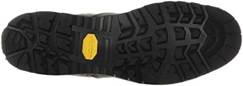 Zrak Jordan Danner Sierra Men Sierra