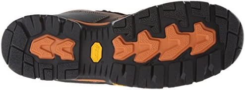 Air Jordan Danner Vicious Nmt Radna čizma