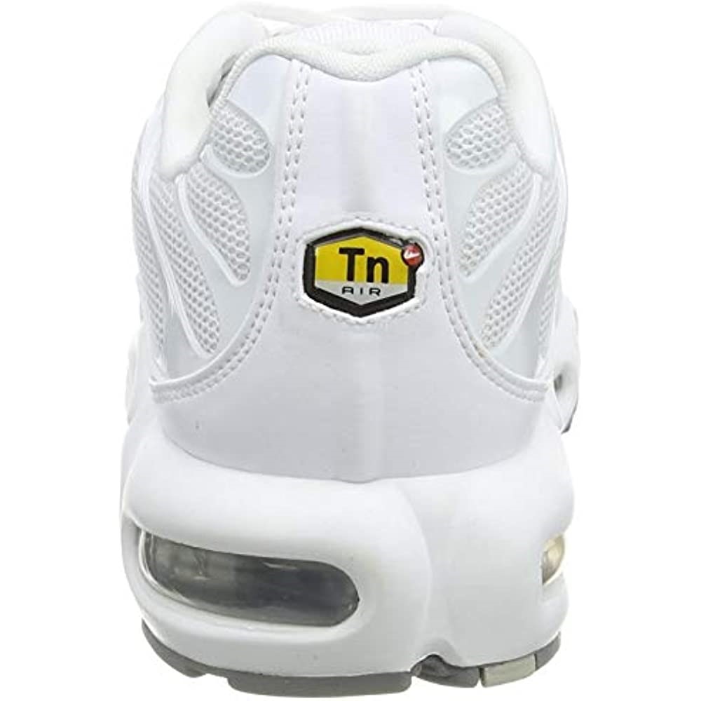 Nike Air Max Plus Se Tn1 Tuned Muške Tenisice Air Jordan White-black-cool Grey